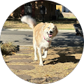 Reviewer Image